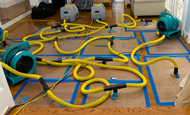 Professional Sewage Cleanup technician working in Thermal, CA